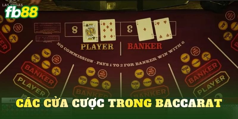 Baccarat: Hướng Dẫn Cách Chơi Và Kinh Nghiệm Thực Chiến 3 Các cửa cược trong Baccarat
