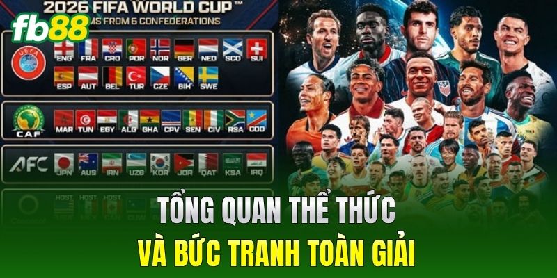 Tổng quan thể thức và bức tranh toàn giải