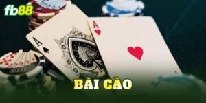 Bài Cào