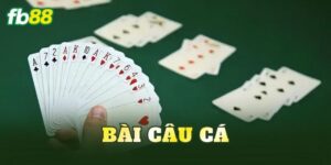 Bài Câu Cá