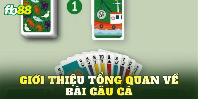Giới thiệu tổng quan về bài Câu Cá