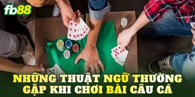 Những thuật ngữ thường gặp khi chơi bài Câu Cá