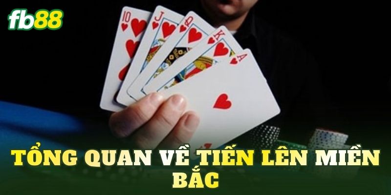 Tổng quan về Tiến Lên miền Bắc