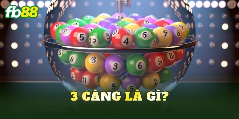 3 càng là gì?