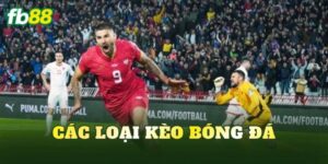 Các Loại Kèo Bóng Đá