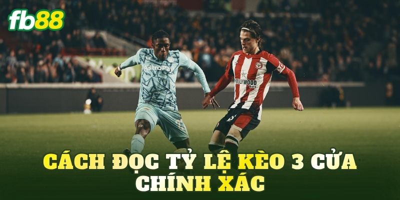 Kèo 3 Cửa Là Gì? Cách Đọc Và Chơi Hiệu Quả 3 Cách đọc tỷ lệ kèo 3 cửa chính xác