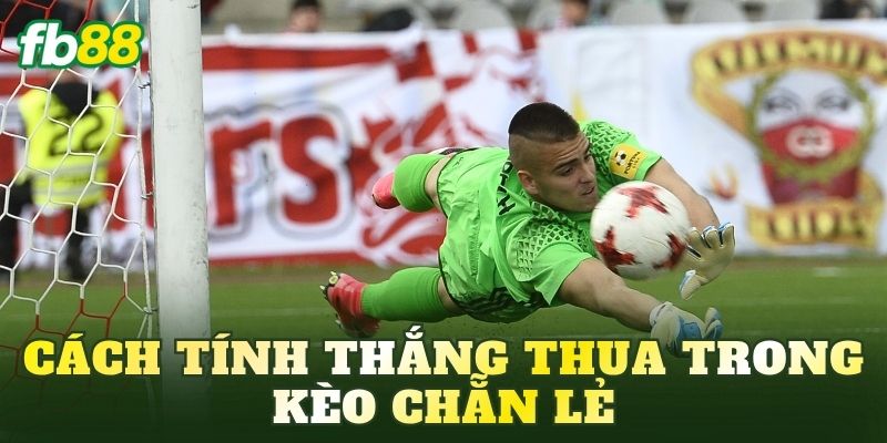 Cách tính thắng thua trong kèo chẵn lẻ