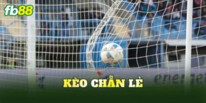 Kèo Chẵn Lẻ