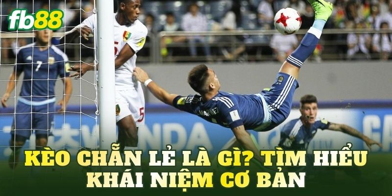 Kèo chẵn lẻ là gì? Tìm hiểu khái niệm cơ bản