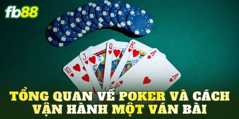 Tổng quan về Poker và cách vận hành một ván bài