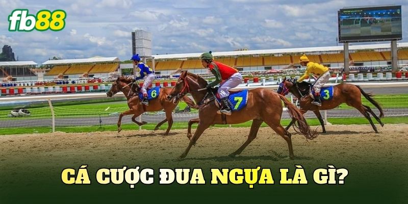 Cá cược đua ngựa là gì?