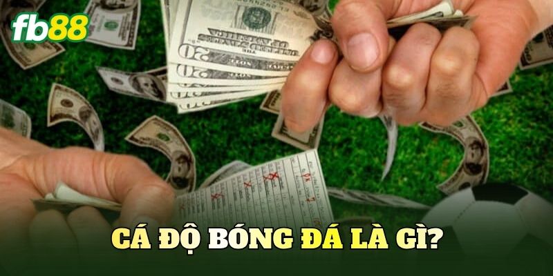Cá Độ Bóng Đá – Cách Chơi Và Hướng Dẫn Đọc Kèo Cơ Bản 2 Cá độ bóng đá là gì?