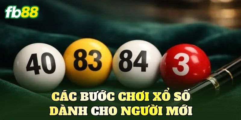 Các bước chơi xổ số dành cho người mới