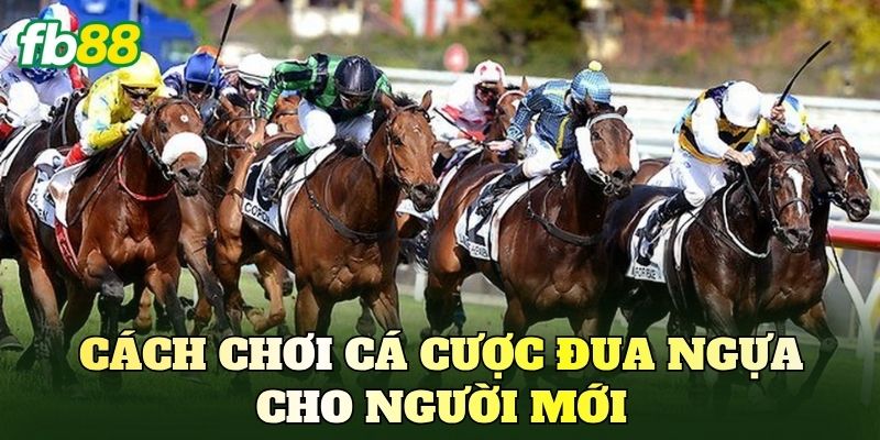 Cách chơi cá cược đua ngựa cho người mới