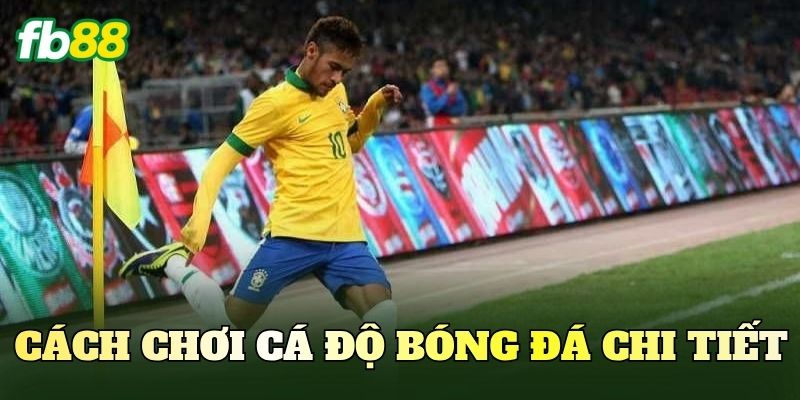 Cá Độ Bóng Đá – Cách Chơi Và Hướng Dẫn Đọc Kèo Cơ Bản 3 Cách chơi cá độ bóng đá chi tiết