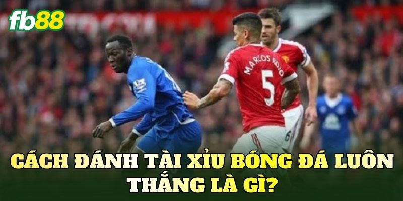 Cách đánh Tài Xỉu bóng đá luôn thắng là gì?