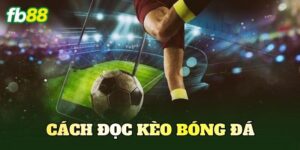 Cách Đọc Kèo Bóng Đá