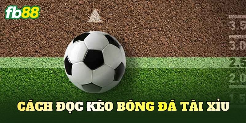 Cách đọc kèo bóng đá tài xỉu