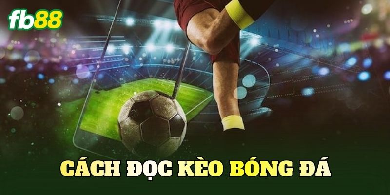 Cách Đọc Kèo Bóng Đá