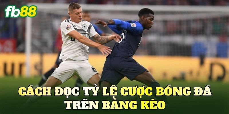 Cách đọc tỷ lệ cược bóng đá trên bảng kèo