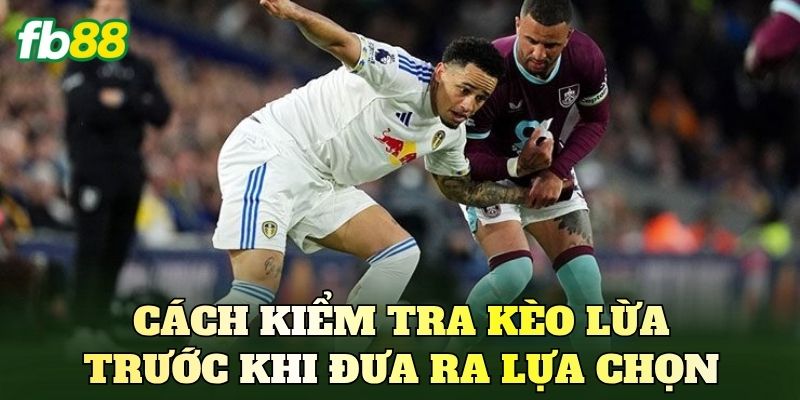 Cách kiểm tra kèo lừa trước khi đưa ra lựa chọn