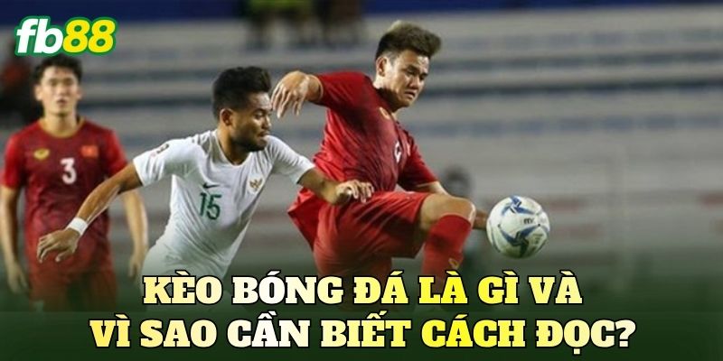 Kèo bóng đá là gì và vì sao cần biết cách đọc?