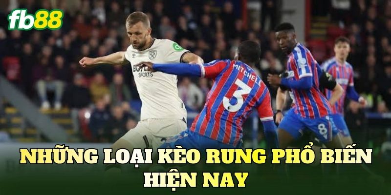 Những loại kèo rung phổ biến hiện nay