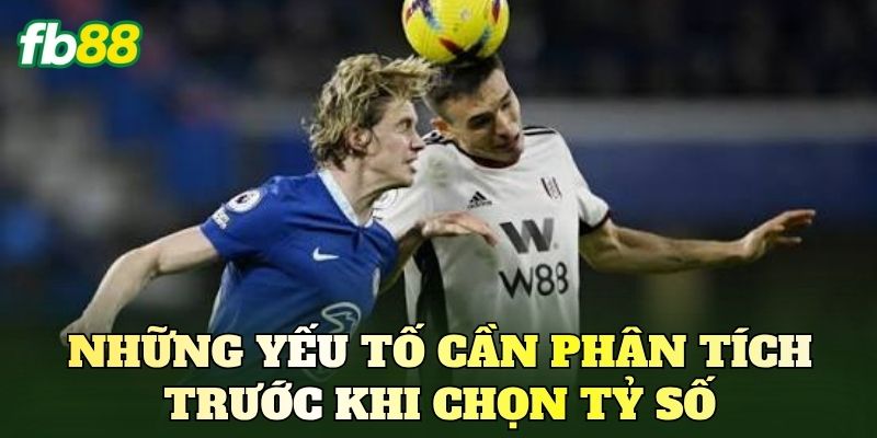 Những yếu tố cần phân tích trước khi chọn tỷ số