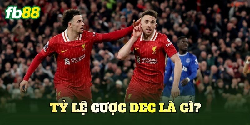Tỷ Lệ Cược Dec – Cách Đọc Và Tính Tiền Cược Chuẩn 2 Tỷ lệ cược Dec là gì?